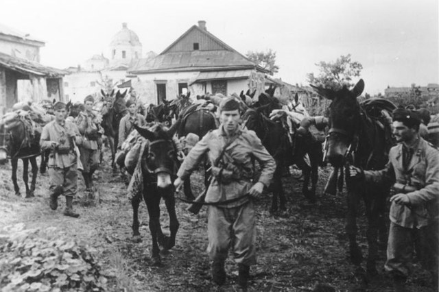 Archival photograph of Italian soldiers leading loaded mules through a village on the Eastern Front, July 1942.